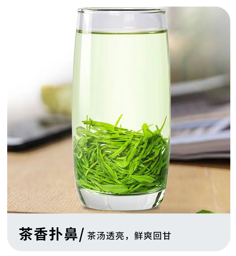 2026豫春尖牌特级明前信阳毛尖绿茶袋装750g  2026 Yu Spring Jian Brand Premium Pre-Qing Xin Yang Mao Jian Green Tea Bagged 750g（26.4oz）