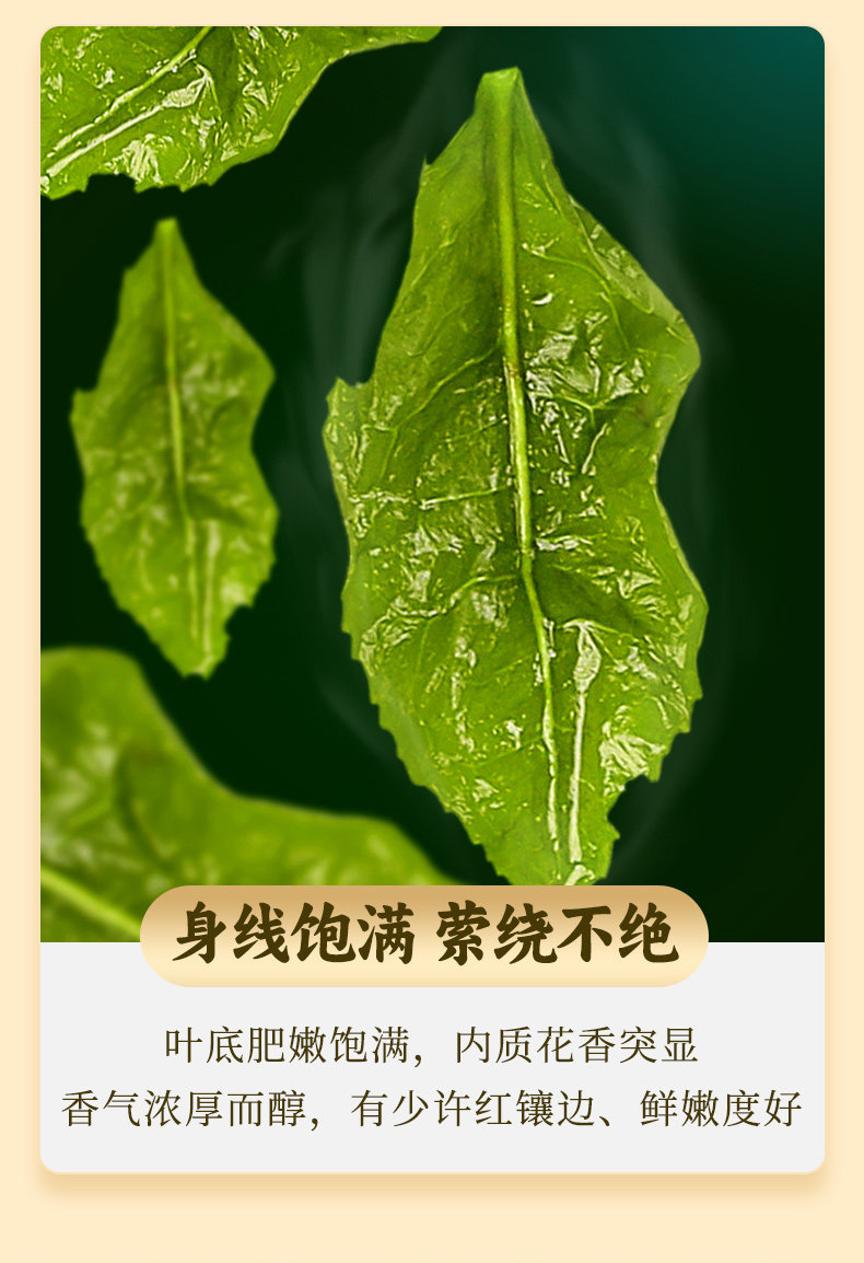 2026中闽弘泰牌一级清香型安溪铁观音兰花香真空包装250g  2026 Zhongmin Hongtai Brand First Grade Light Fragrance Anxi Tieguanyin Orchid Scent Vacuum Packaging 250g（8.8oz）