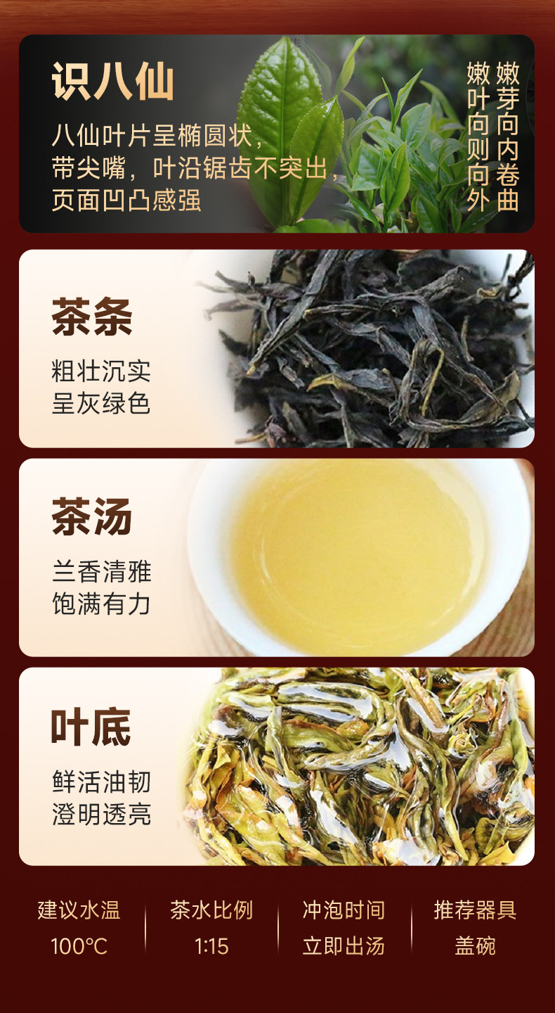 2026净乐牌清香型凤凰单枞乌龙茶罐装250g*2  2026 Jingle Brand Light Fragrance Phoenix Dancong Oolong Tea Canned 250g*2（500g 17.6oz）