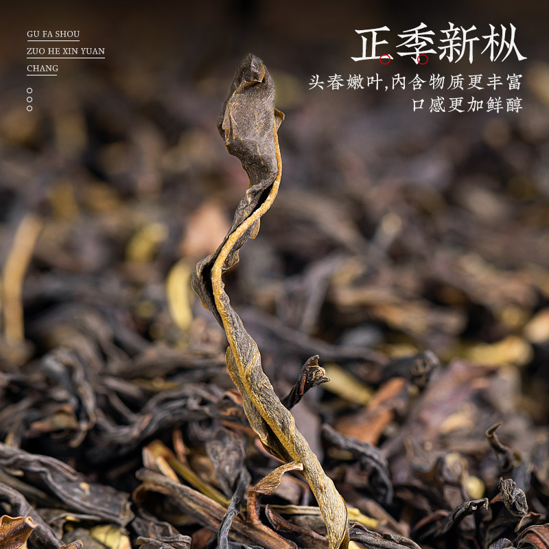 2026飘香韵牌鸭屎香凤凰单枞乌龙茶罐装250g*2  2026 Jingle Brand Duck Shit Aroma Phoenix Dancong Oolong Tea, canned 250g*2（500g 17.6oz）