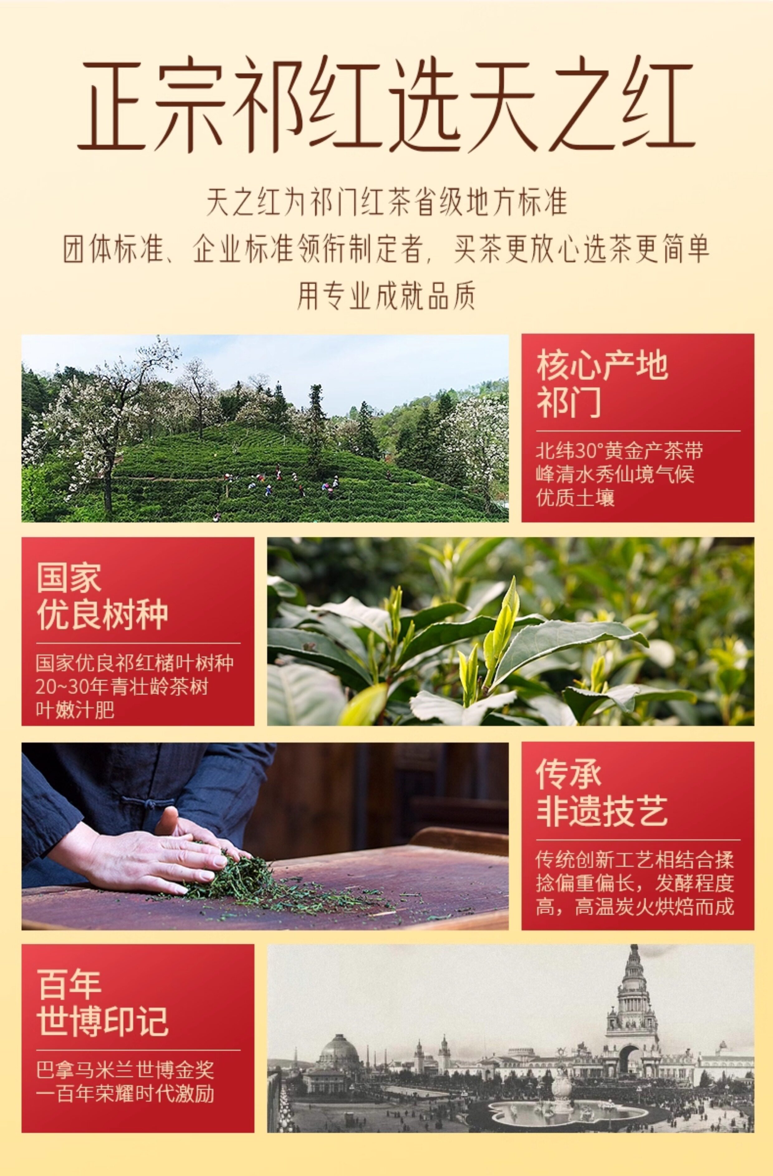 2026天之红牌一级浓香型祁门红茶罐装250g  2026 Tianzhi Red Label First Grade Strong Aroma Qimen Black Tea Canned 250g（8.8oz）