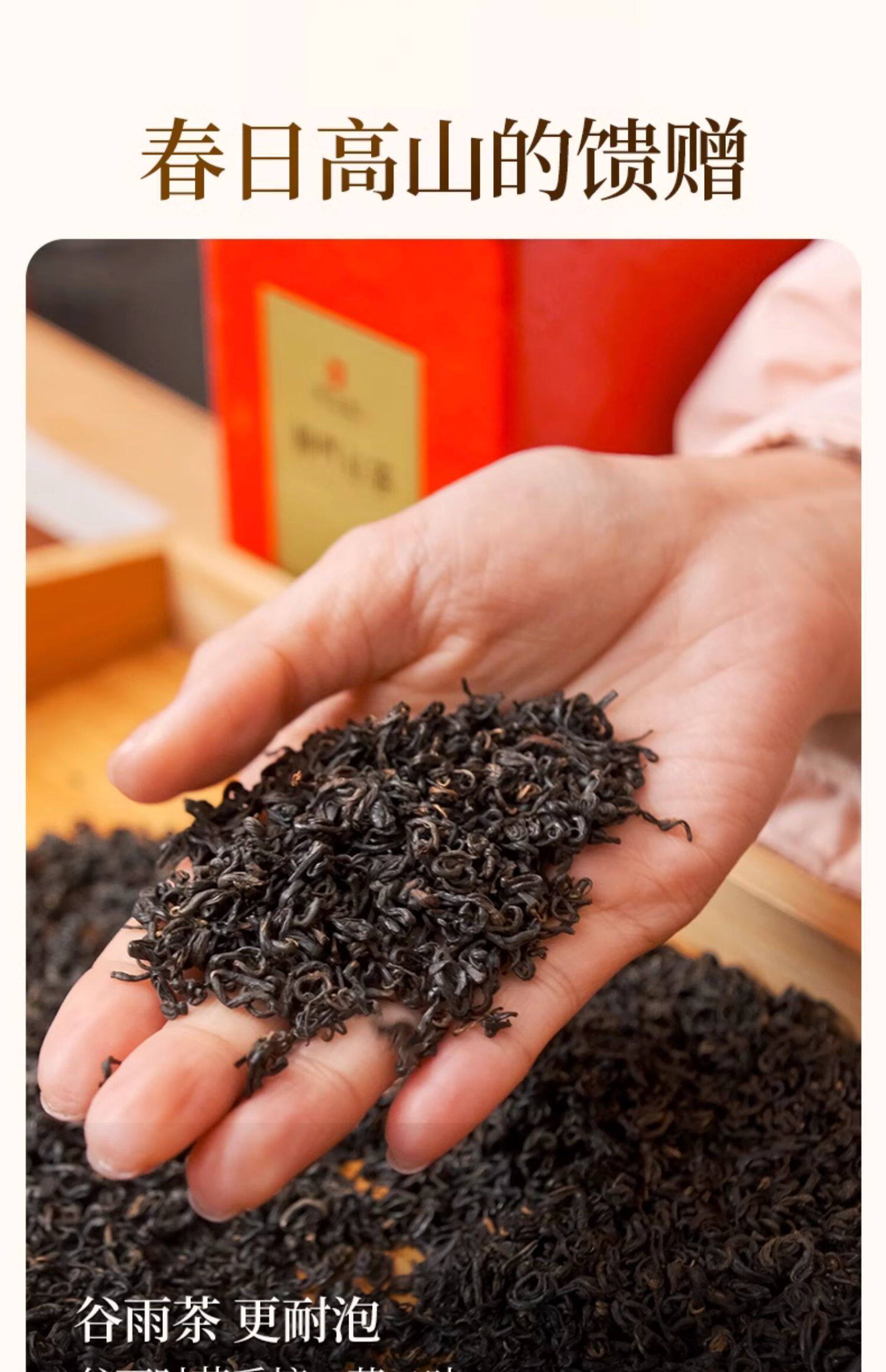 2026天之红牌一级蜜香型祁门红茶罐装250g  2026 Tianzhi Red Label First Grade Honey Scented Qimen Black Tea, Canned 250g（8.8oz）