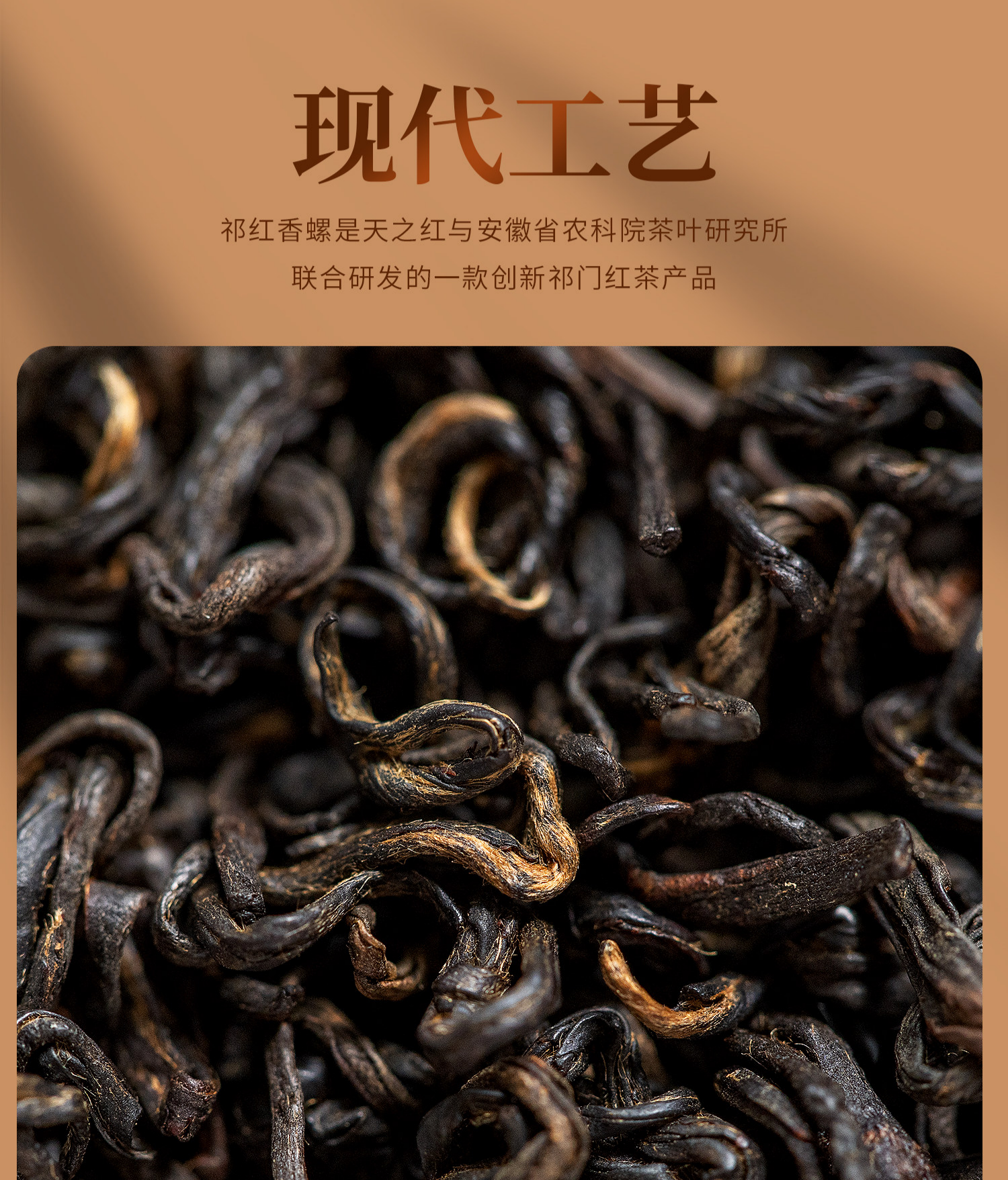 2026天之红牌金奖浓香型祁门红茶罐装188g  2026 Tianzhi Red Label Gold Award Strong Aroma Qimen Black Tea, Canned, 188g（6.3oz）