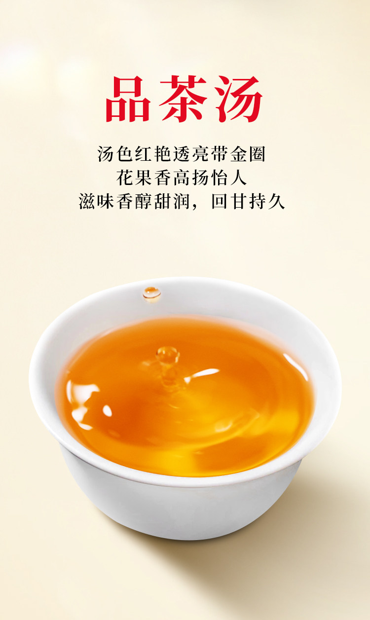 2026英德牌一级英红九号功夫英德红茶罐装250g  2026 Yingde Brand First Grade Yinghong No. 9 Kung Fu Yingde Black Tea, 250g Canned （8.8oz）