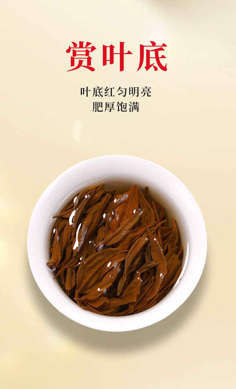 2026英德牌一级英红九号功夫英德红茶罐装250g  2026 Yingde Brand First Grade Yinghong No. 9 Kung Fu Yingde Black Tea, 250g Canned （8.8oz）