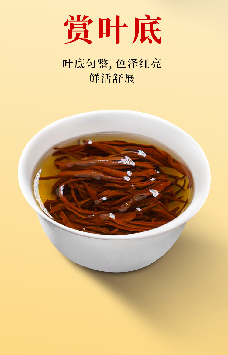2026英德牌一级英红九号果香英德红茶两罐装250g  2026 Yingde Brand First Grade Yinghong No. 9 Fruity Yingde Black Tea Two Can Pack 250g（8.8oz）