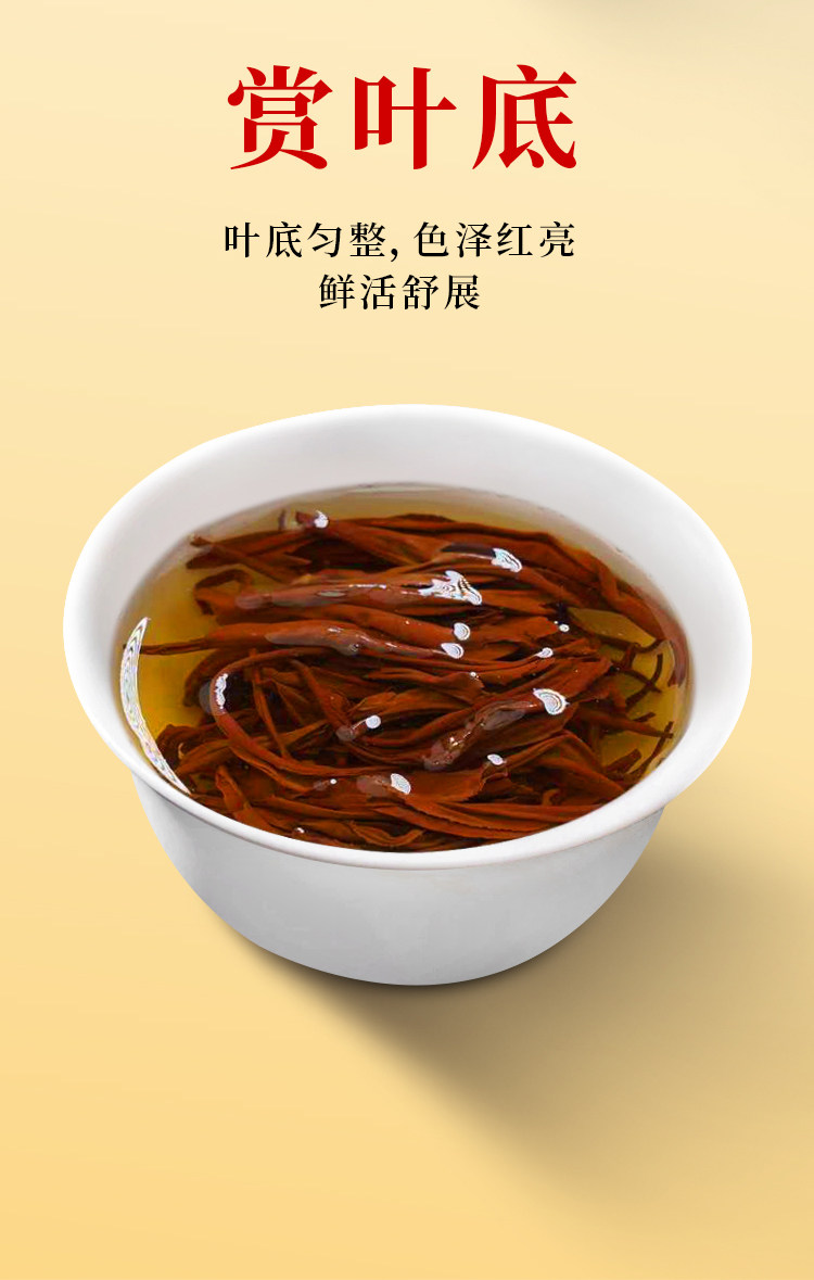 2026英德牌一级英红九号果香英德红茶罐装250g  2026 Yingde Brand First Grade Yinghong No. 9 Fruity Yingde Black Tea Can Pack 250g（8.8oz）
