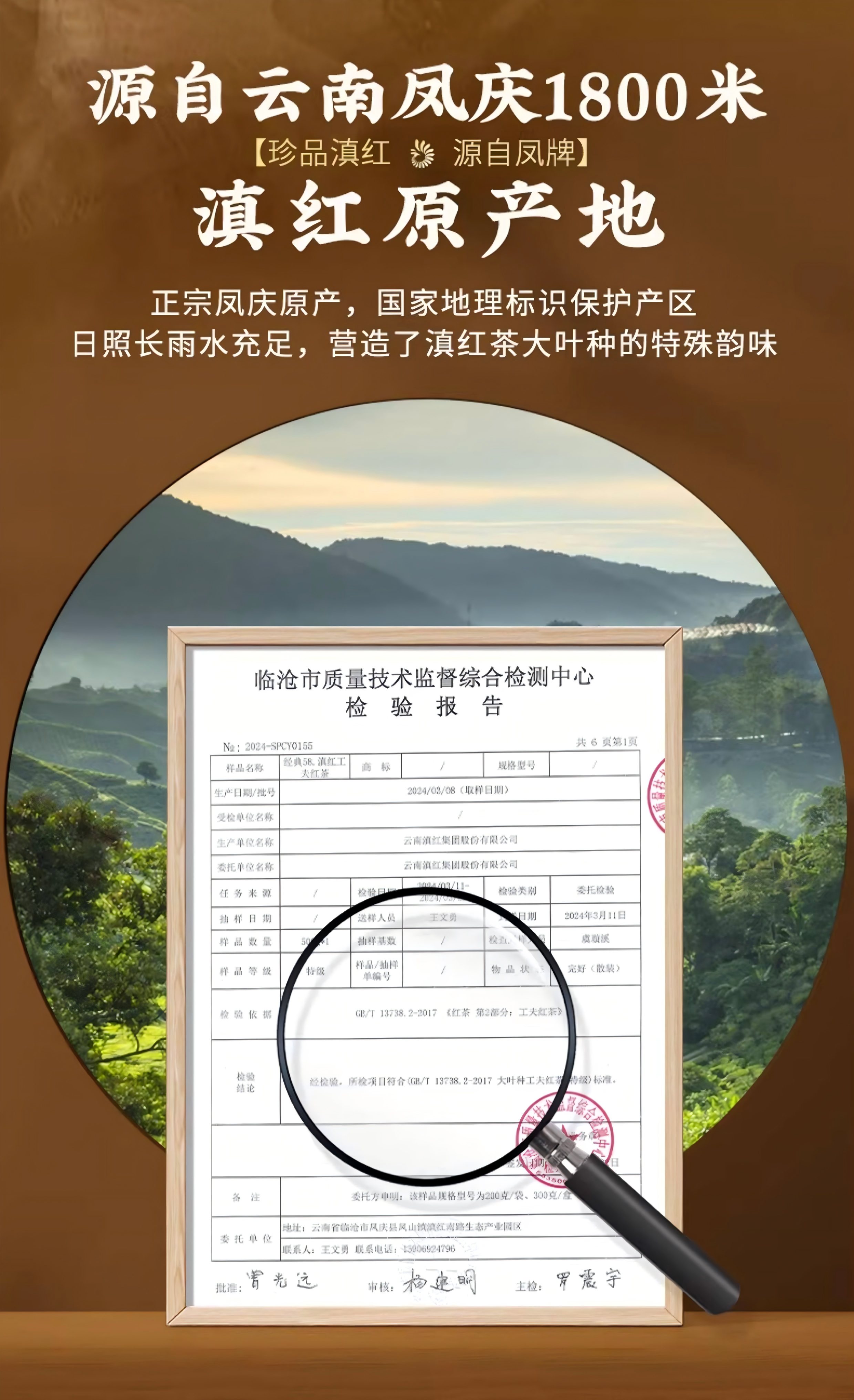 2026凤牌经典58系列云南滇红特级红茶袋装200g  2026 Feng Brand Classic 58 Series Yunnan Dianhong Premium Black Tea Bag 200g（7oz）