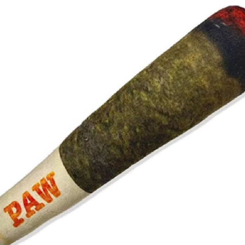 Interactive Squeaky Cigar Dog Toy
