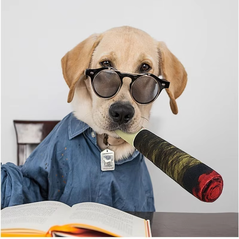 Interactive Squeaky Cigar Dog Toy