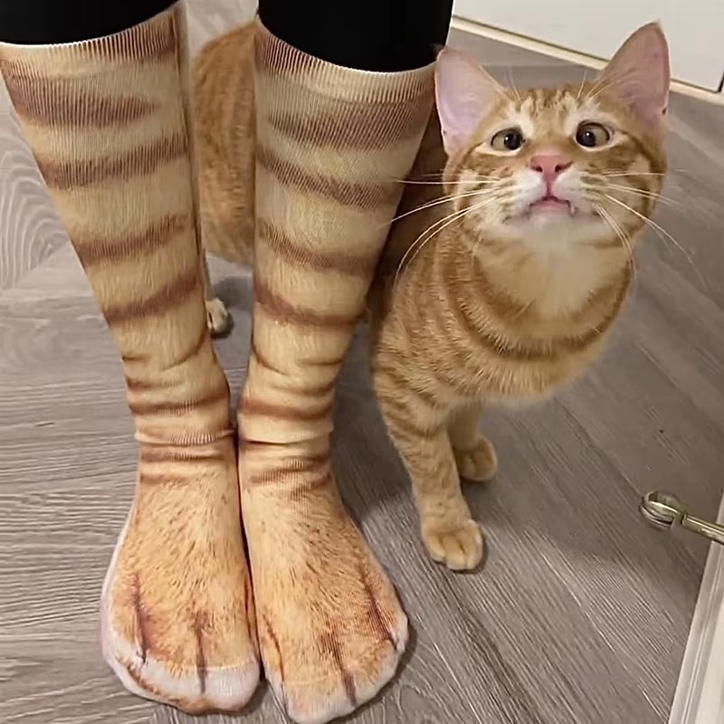 Funny 3D Animal Paw Print Socks – Realistic Cat, Dog & Tiger Novelty Socks