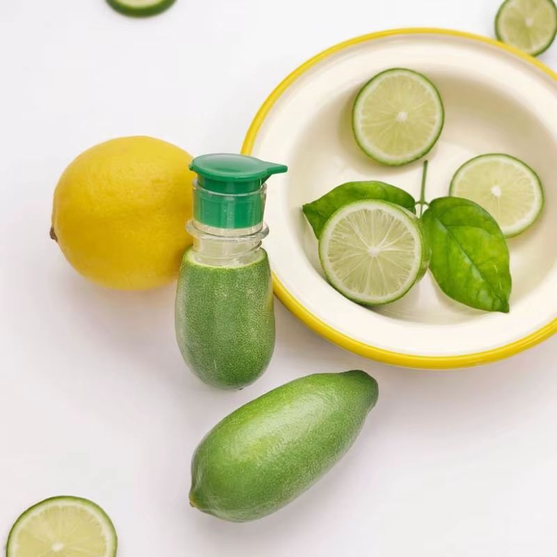 Manual lemon juicer