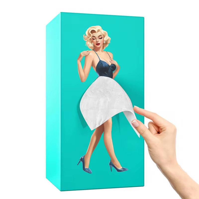 Flying Skirt Girl Tissue Box Holder