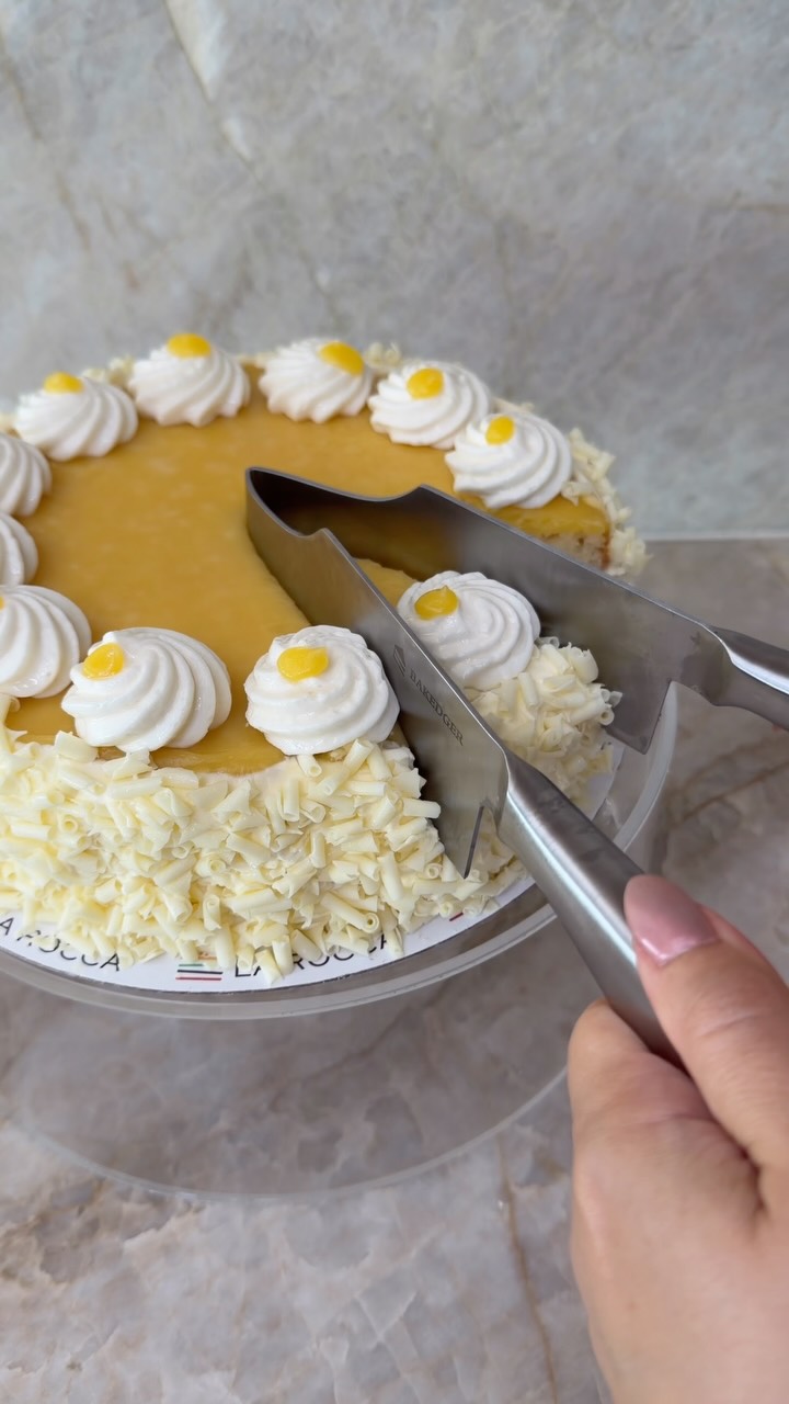 Adjustable Stainless Steel Cake Cutter & Server