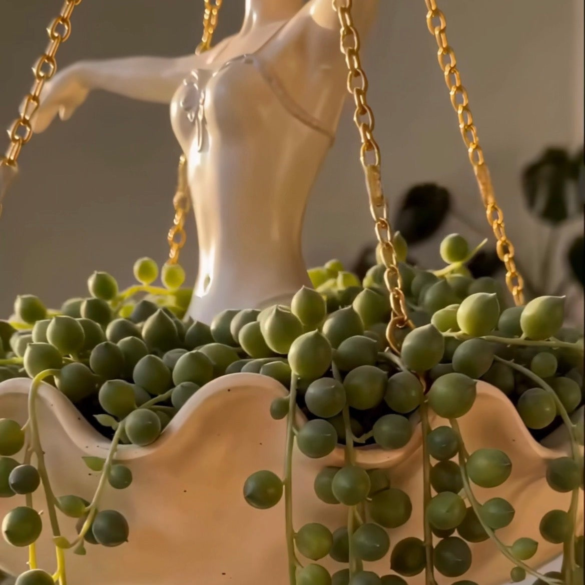 Ballerina Chain Planters