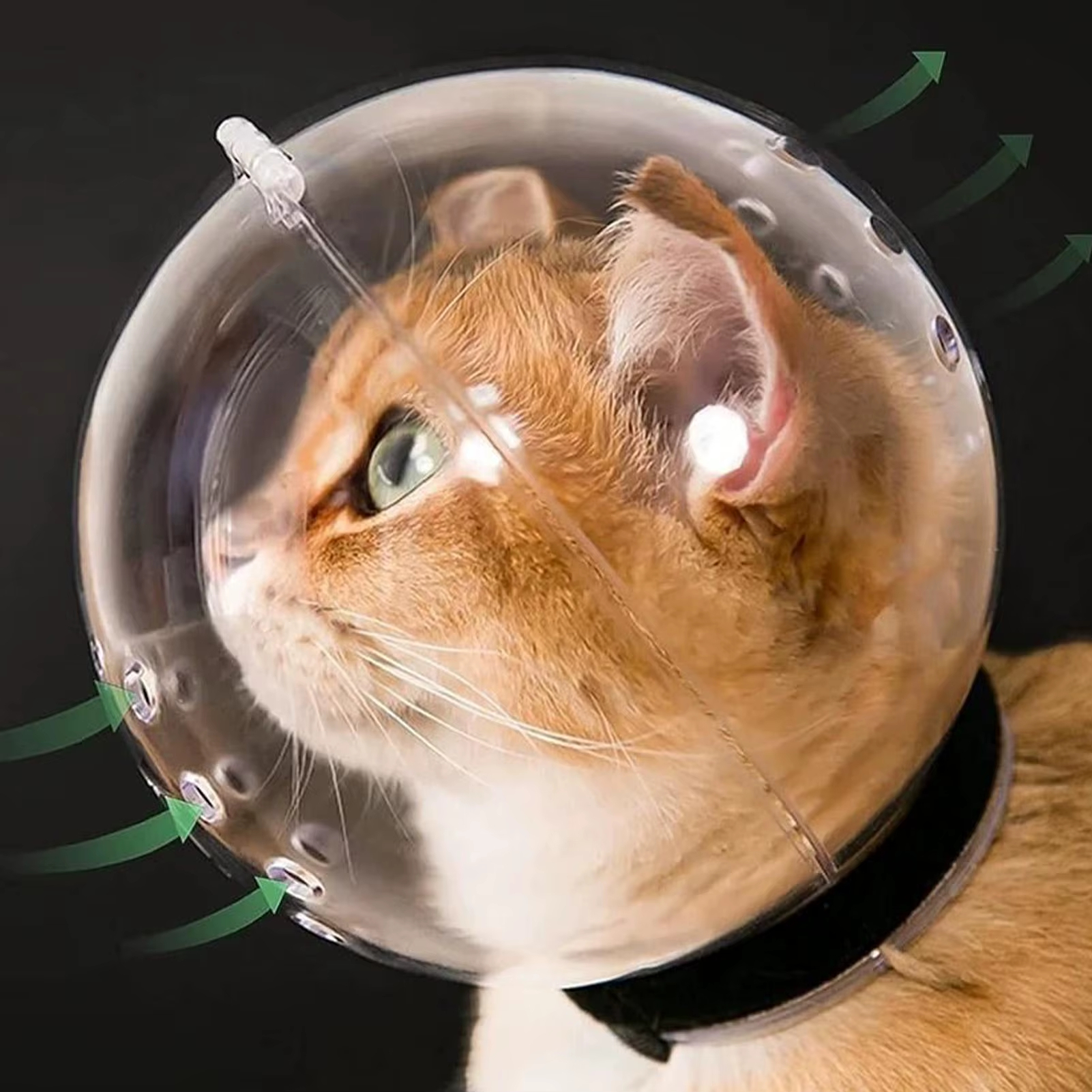 Transparent Cat Grooming Helmet – Breathable Anti-Bite Protective Bubble Muzzle