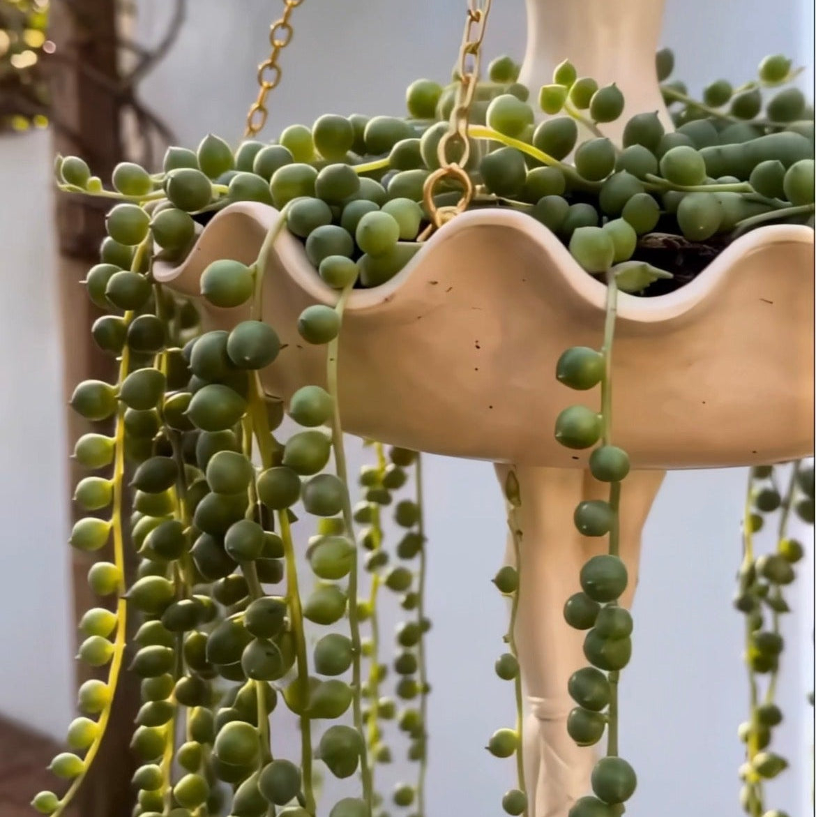 Ballerina Chain Planters
