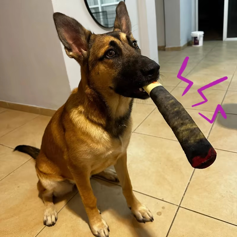 Interactive Squeaky Cigar Dog Toy