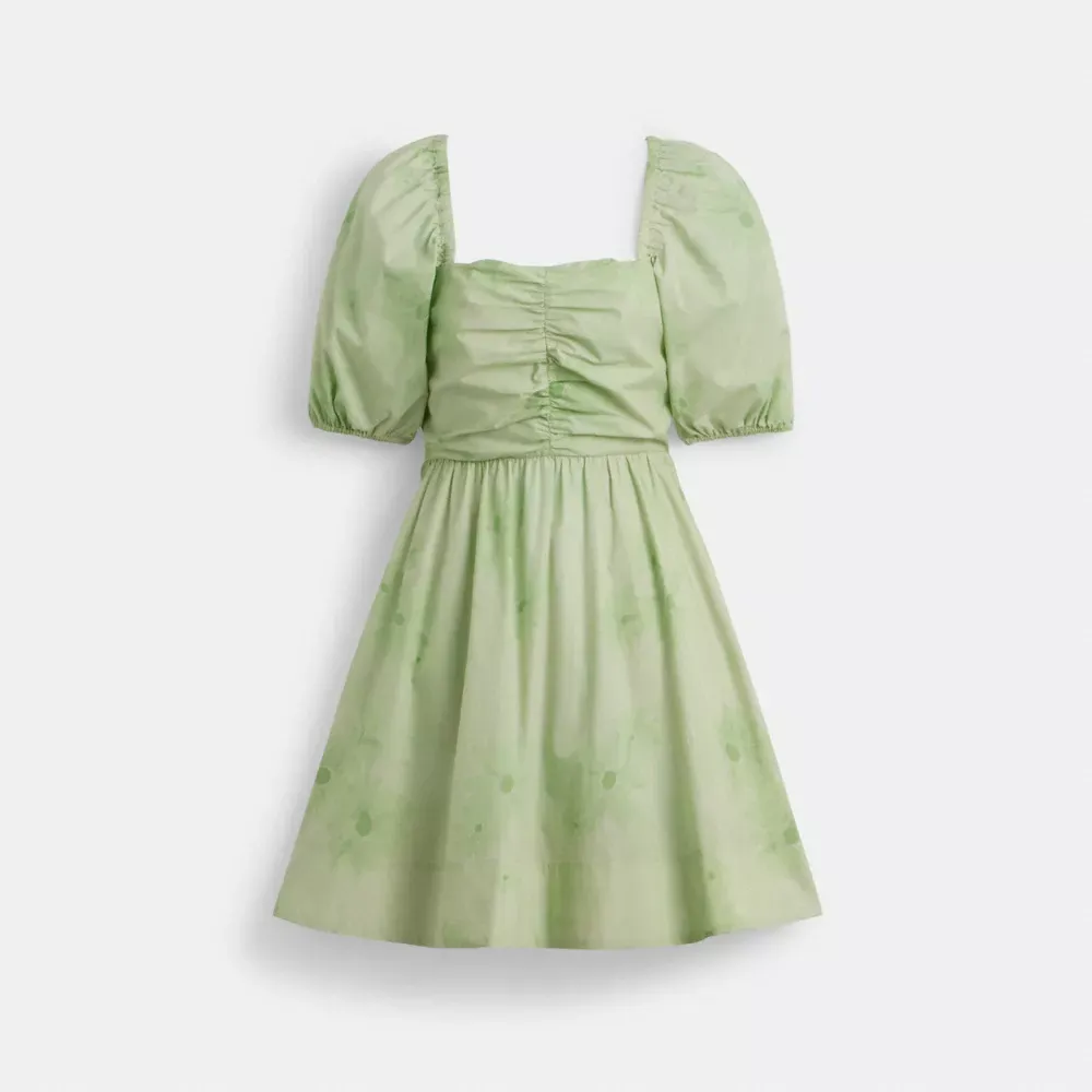 Puff Sleeve Mini Dress