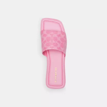  Florence Sandal In Signature Canvas
