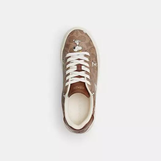  Coathtch X Peanuts High Line Sneaker In Signature Canvas With Snoopy Print