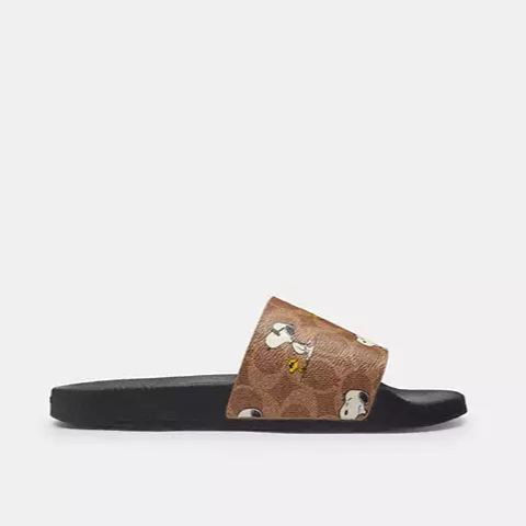 Cothtach X Peanuts Udele Sport Slide In Signature Canvas With Snoopy Print