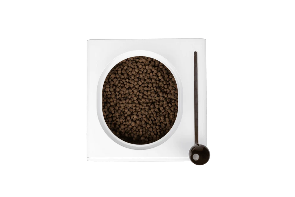 Kibble Dispenser
