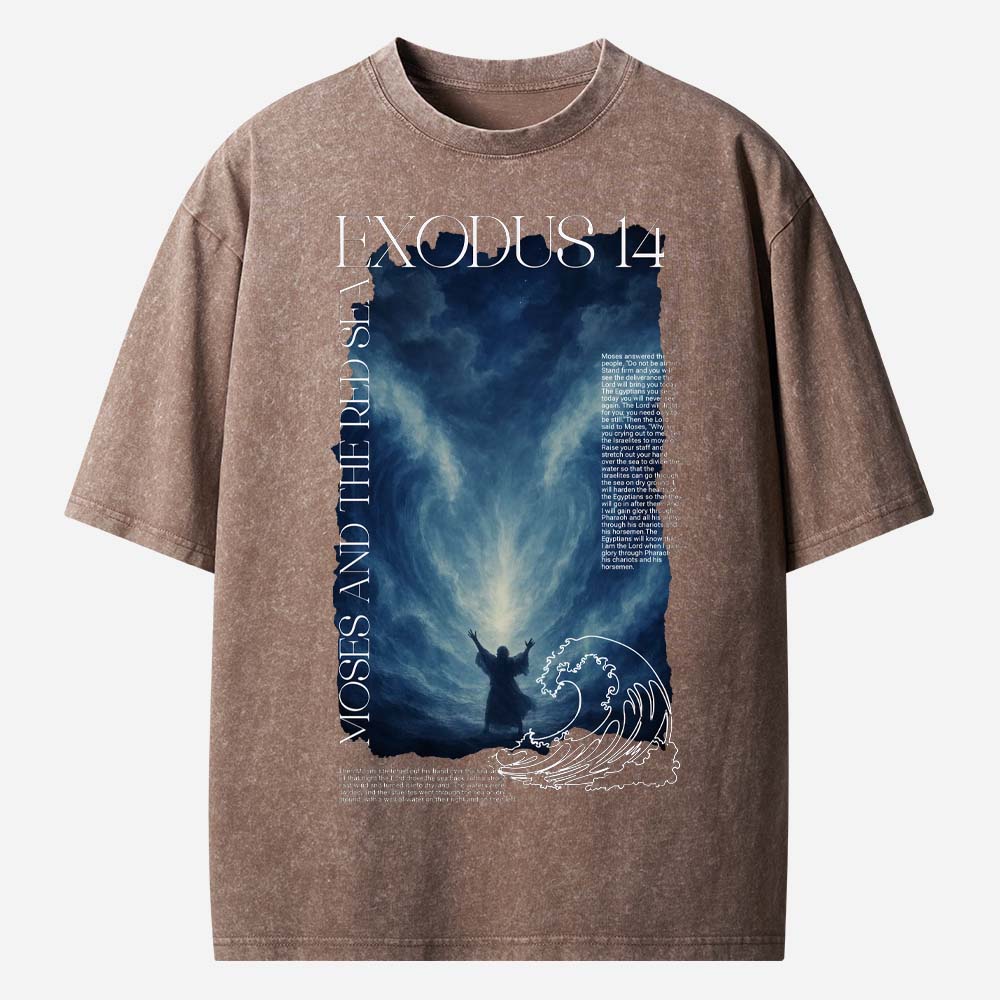  Bible Story Christian Washed T-Shirt