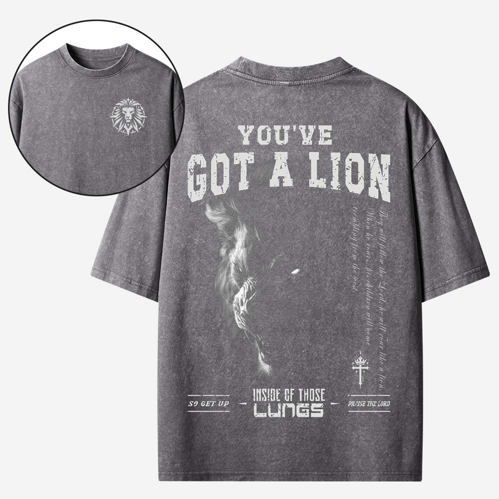 You Have Got A Lion Christian Washed T-Shirt