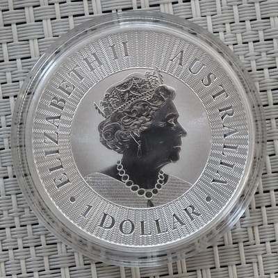 2021 Australian Kangaroo 1oz Silver Coin (spotted) | eBay Australia