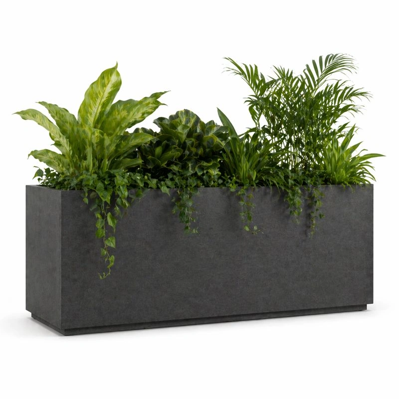 Maceta rectangular grande con plantas verdes variadas y acabado liso moderno para interiores y exteriores de dise?o minimalista en color gris oscuro resistente y liviana ideal para decoraci?n de hogar u oficina-loftlyn