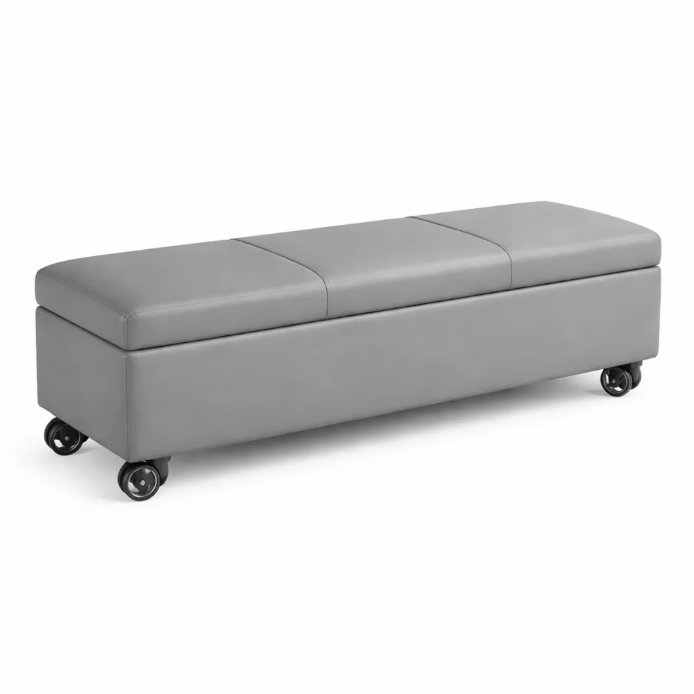 Scarpiera Imbottita con Ruote e Cuscino, Portaoggetti per Ingresso o Camera da Letto