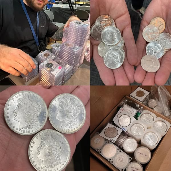 THE COMPLETE COLLECTION OF MORGAN（ONLY 63 SETS IN THE WAREHOUSE RIGHT NOW）-mmluna