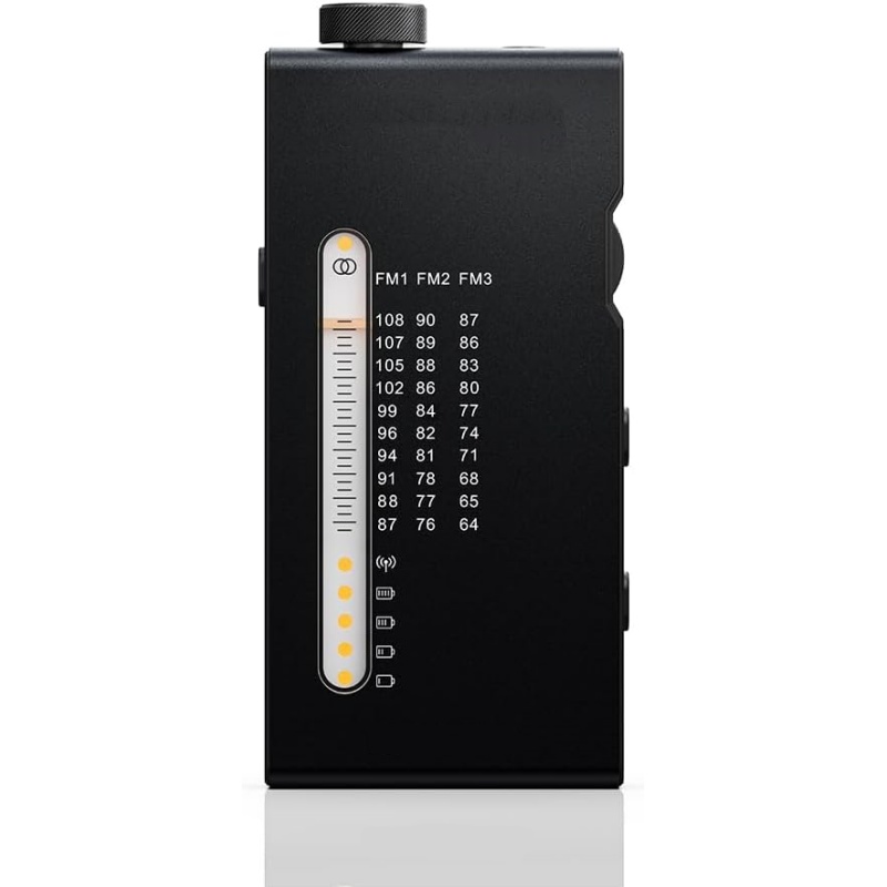 Portable HiFi FM Stereo Radio