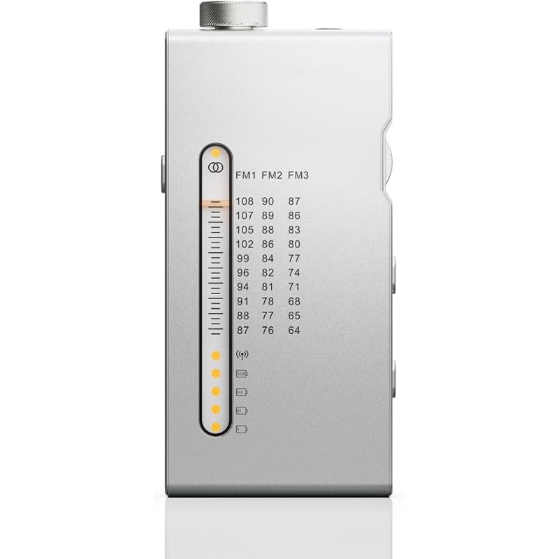 Portable HiFi FM Stereo Radio