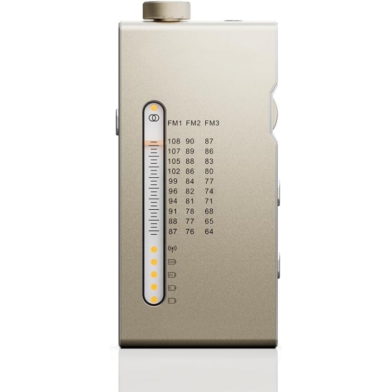 Portable HiFi FM Stereo Radio