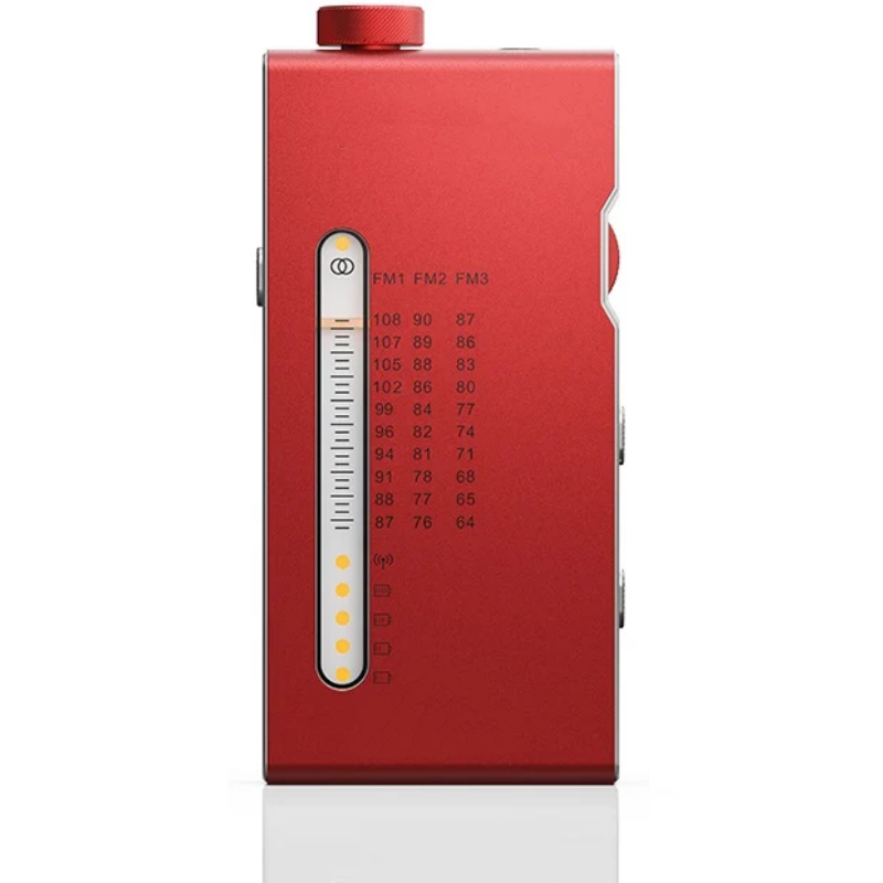 Portable HiFi FM Stereo Radio
