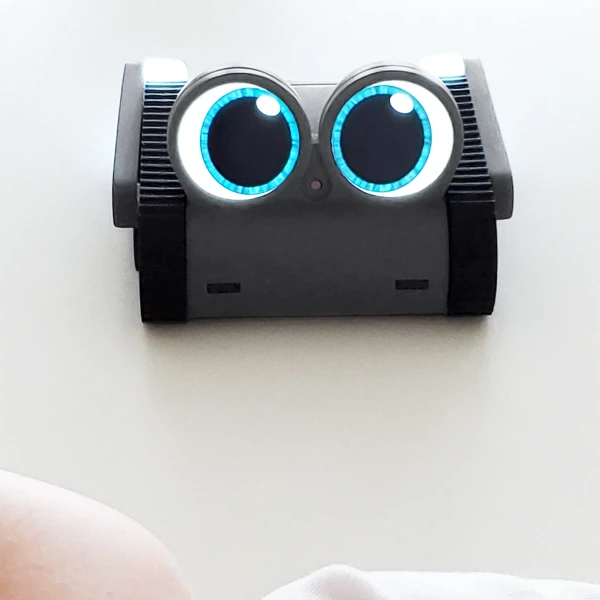 Companion Robot– USB Powered