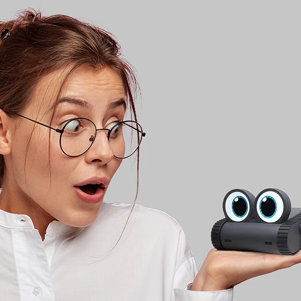Companion Robot– USB Powered
