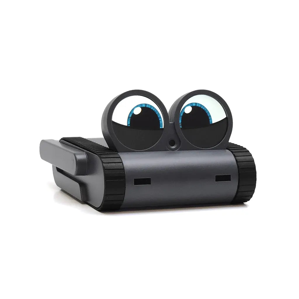 Companion Robot– USB Powered