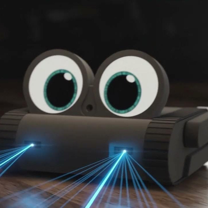 Companion Robot– USB Powered