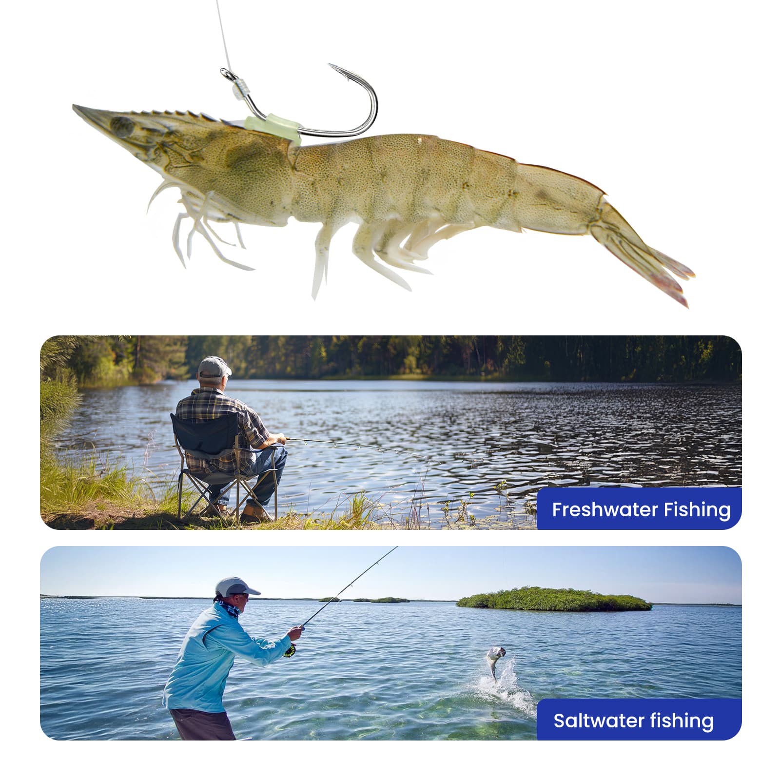 Glow Live Shrimp Hook – Gentle on Shells, Deadly on Big Fish