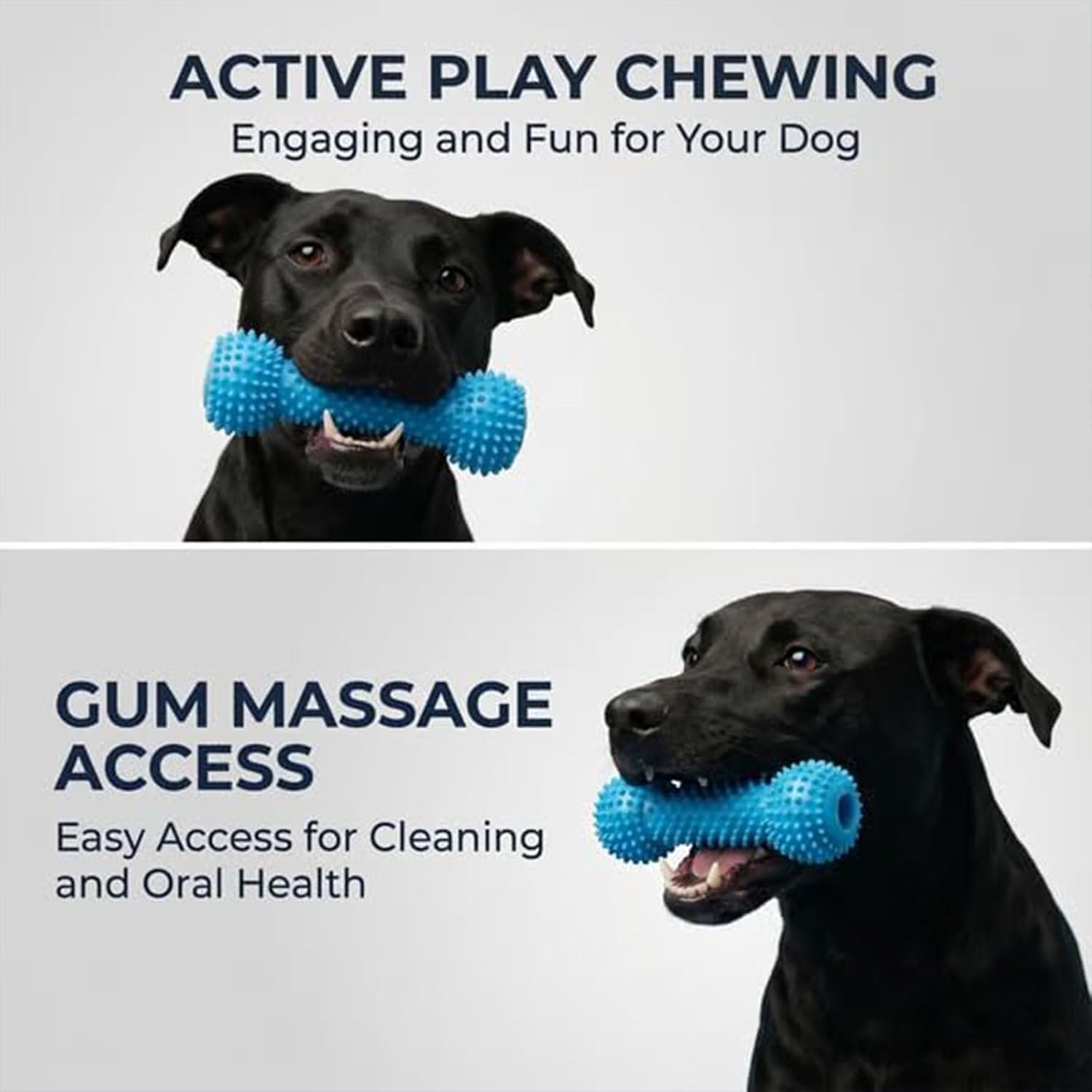 Dual-Action Dog Dental Chew Toy – Pet Teeth Cleaning & Oral Care Tool