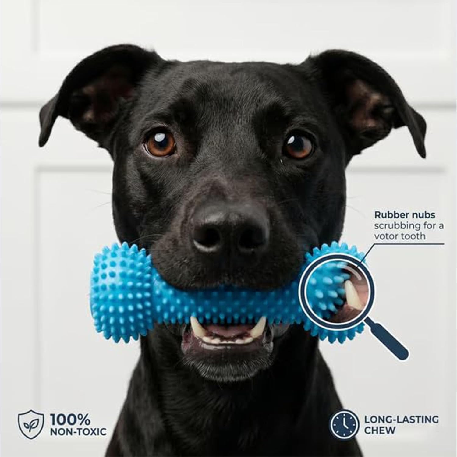 Dual-Action Dog Dental Chew Toy – Pet Teeth Cleaning & Oral Care Tool