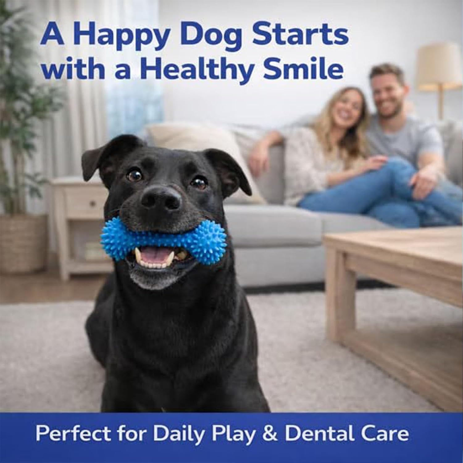 Dual-Action Dog Dental Chew Toy – Pet Teeth Cleaning & Oral Care Tool