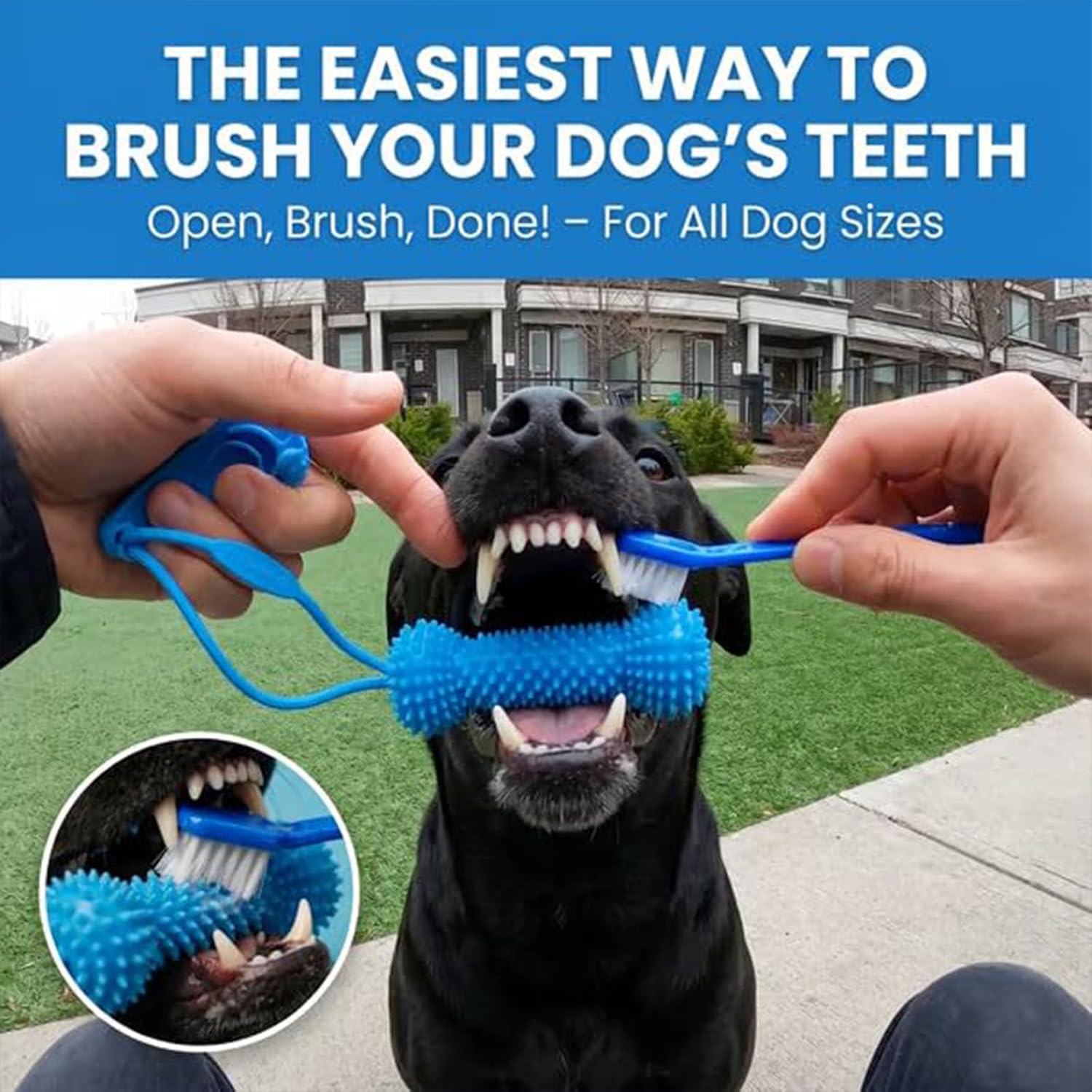 Dual-Action Dog Dental Chew Toy – Pet Teeth Cleaning & Oral Care Tool