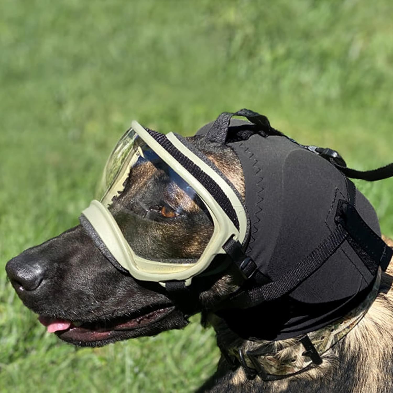 Dog Ear Protection Muffs | Protects Dogs from Noise-Induced Hearing Damage