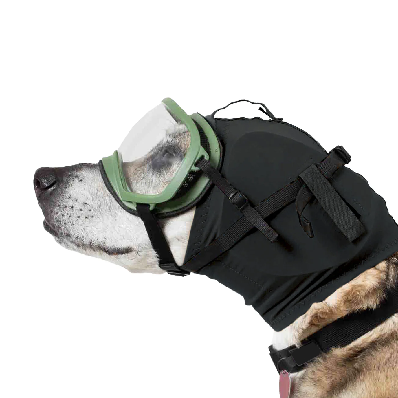 Dog Ear Protection Muffs | Protects Dogs from Noise-Induced Hearing Damage