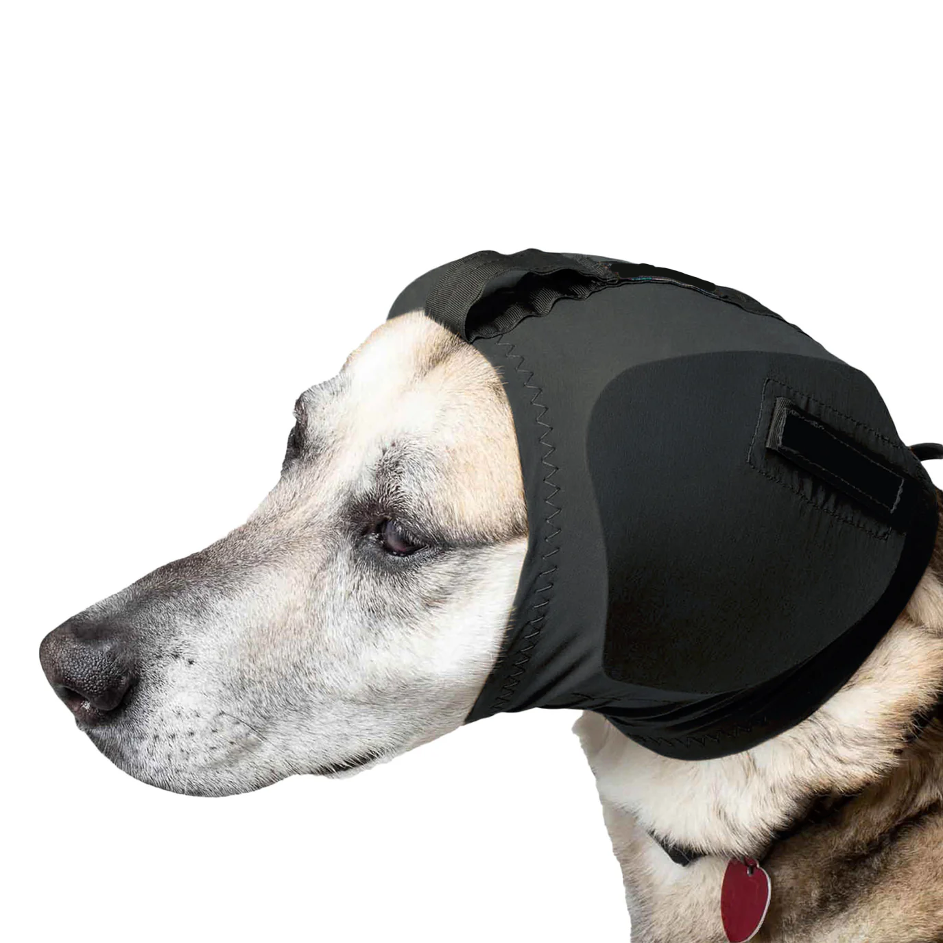 Dog Ear Protection Muffs | Protects Dogs from Noise-Induced Hearing Damage