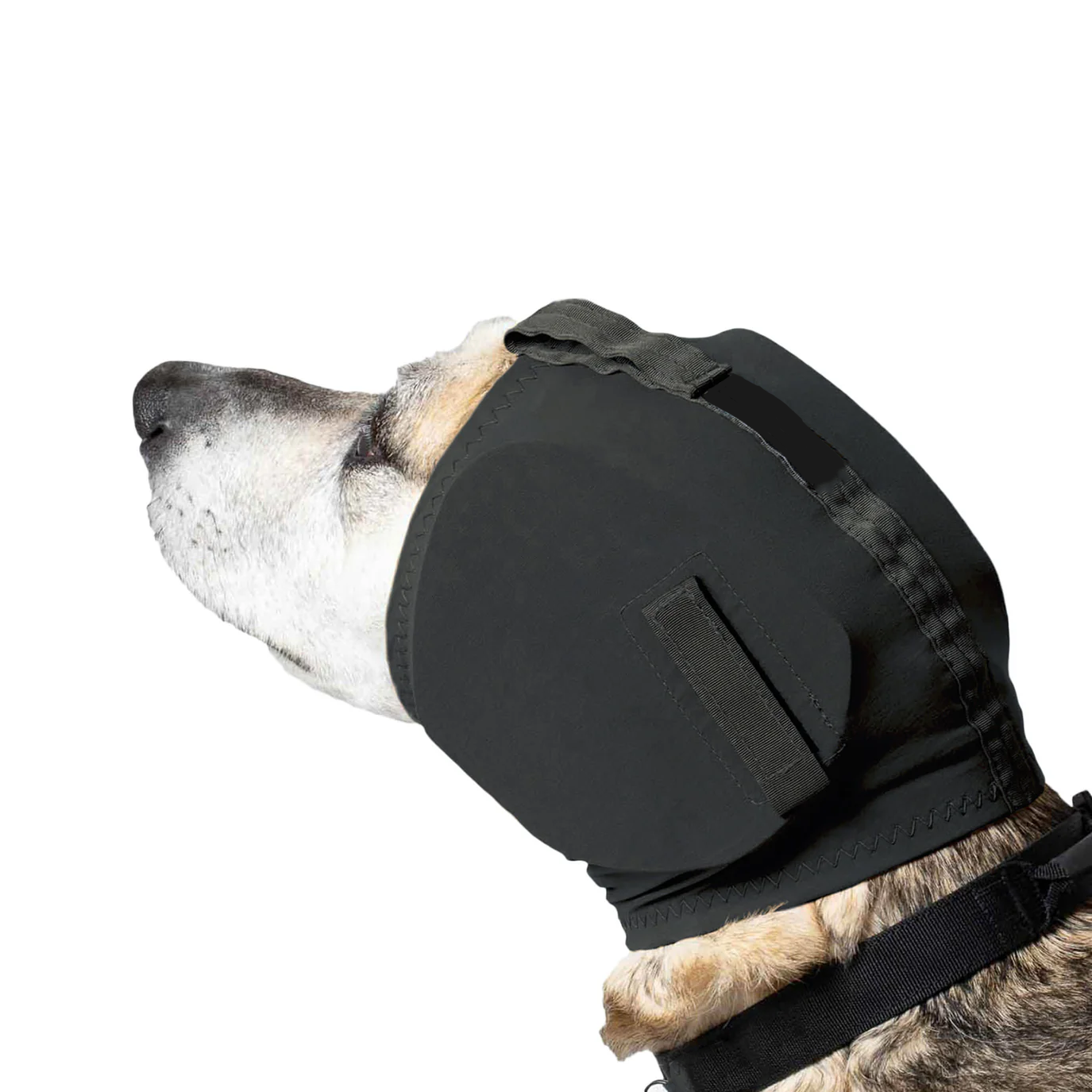 Dog Ear Protection Muffs | Protects Dogs from Noise-Induced Hearing Damage